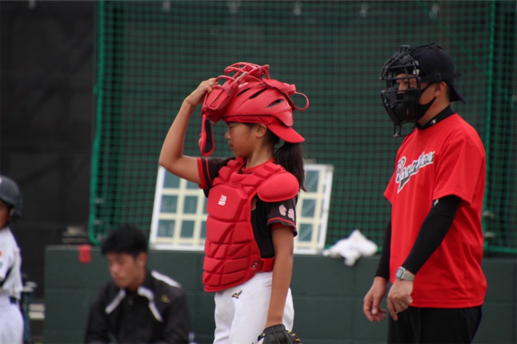 f:id:donagaojisan:20200730221006j:image