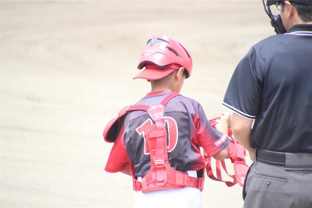 f:id:donagaojisan:20200801201355j:image