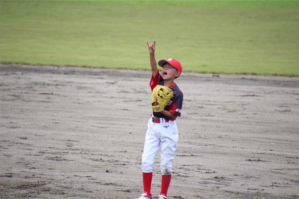 f:id:donagaojisan:20200801202543j:image