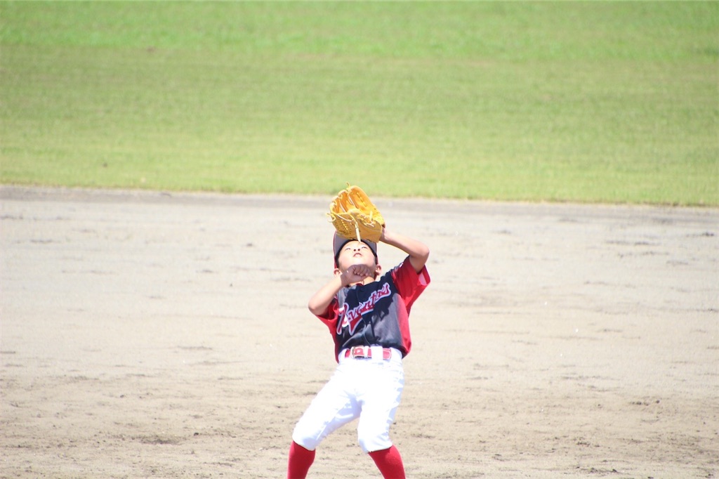 f:id:donagaojisan:20200802205647j:image