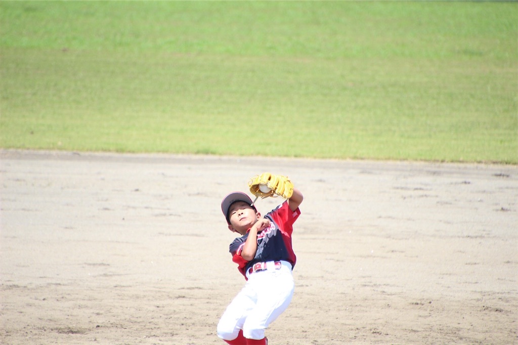 f:id:donagaojisan:20200802205651j:image