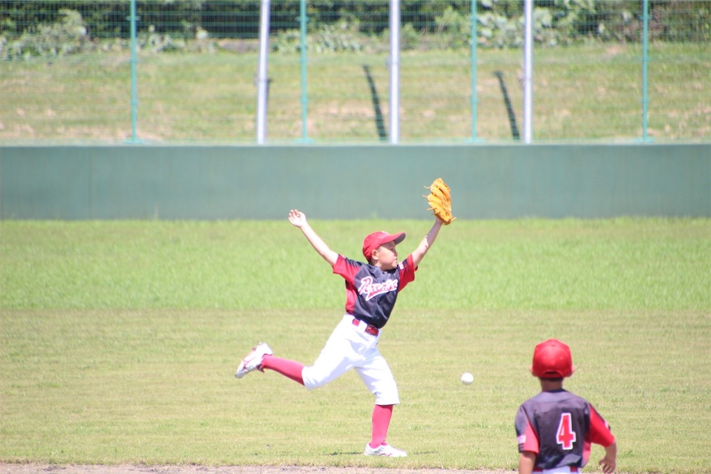 f:id:donagaojisan:20200802210256j:image