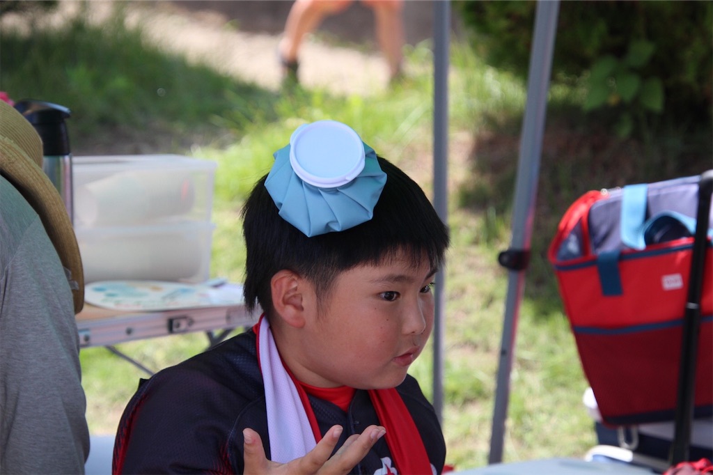 f:id:donagaojisan:20200802210505j:image