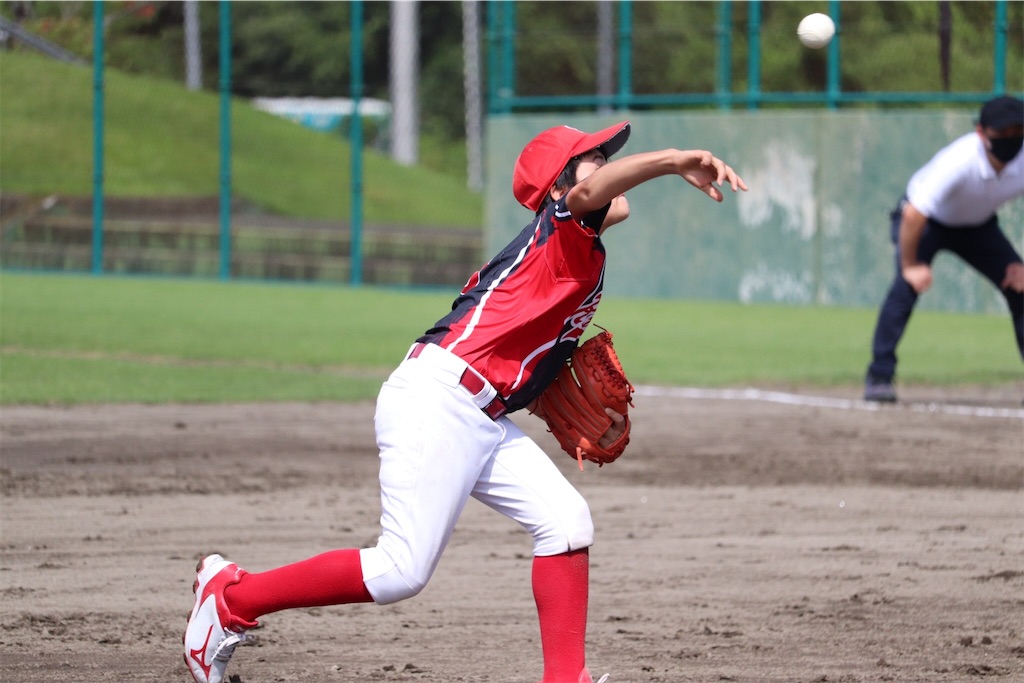 f:id:donagaojisan:20200821194141j:image