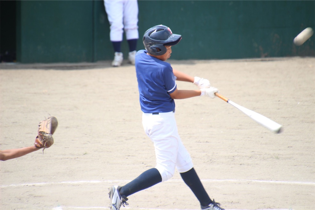 f:id:donagaojisan:20200830233101j:image