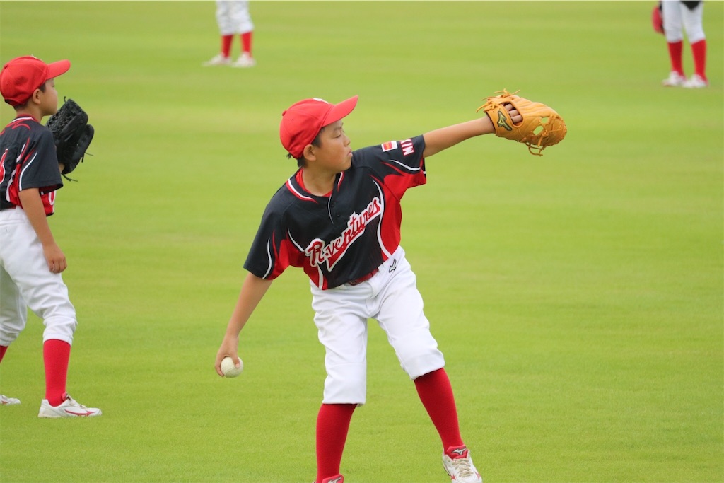 f:id:donagaojisan:20200901213746j:image