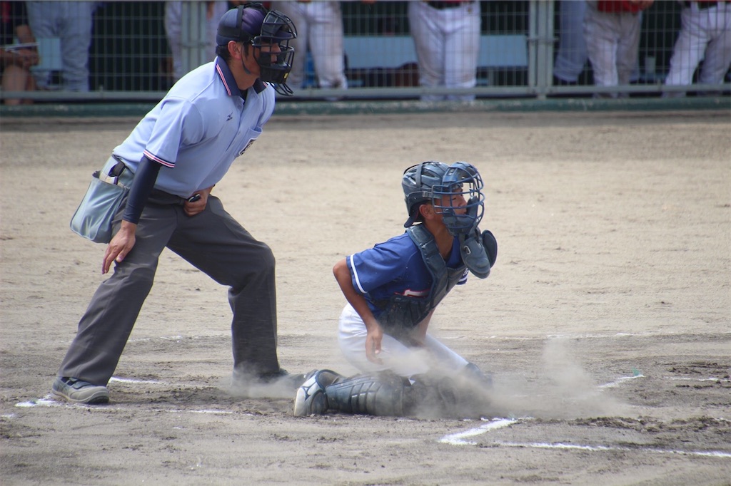 f:id:donagaojisan:20200903223514j:image