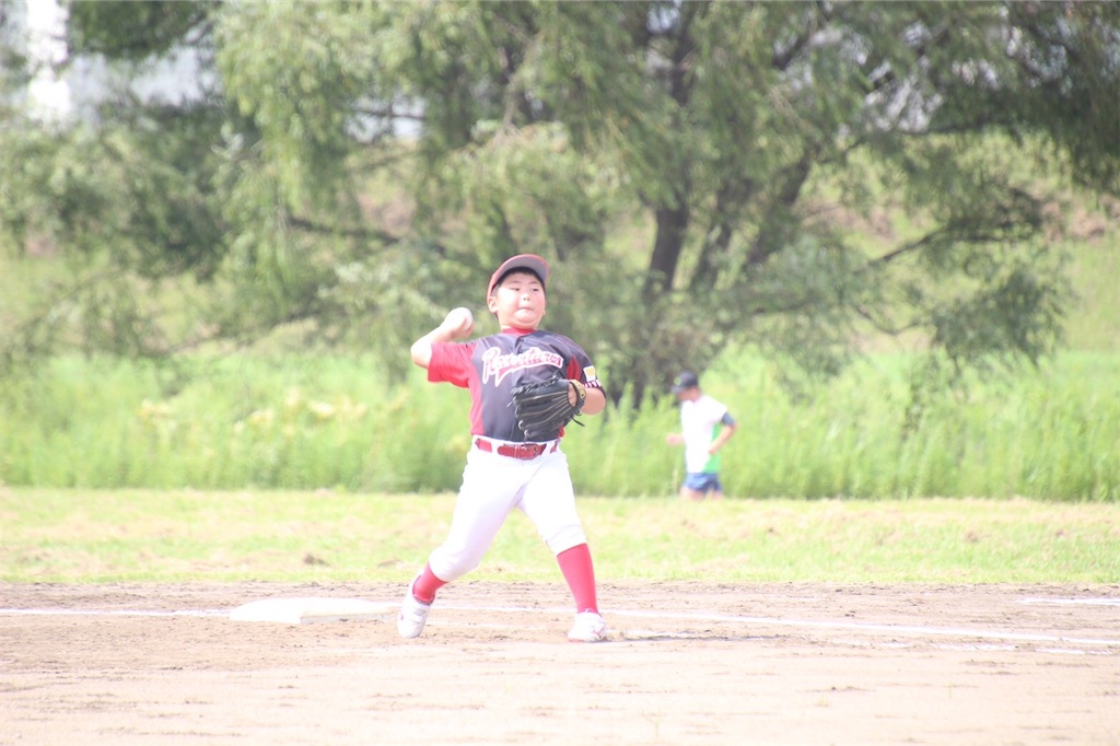 f:id:donagaojisan:20200906191140j:image