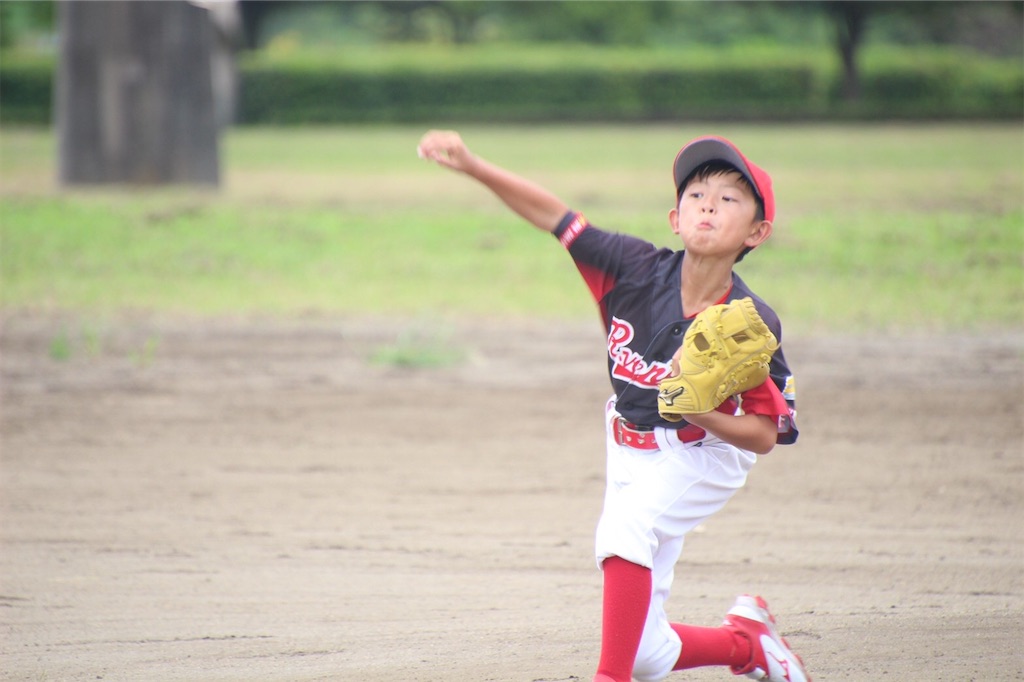 f:id:donagaojisan:20200906191548j:image