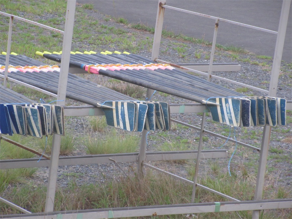 f:id:donagaojisan:20200906193137j:image