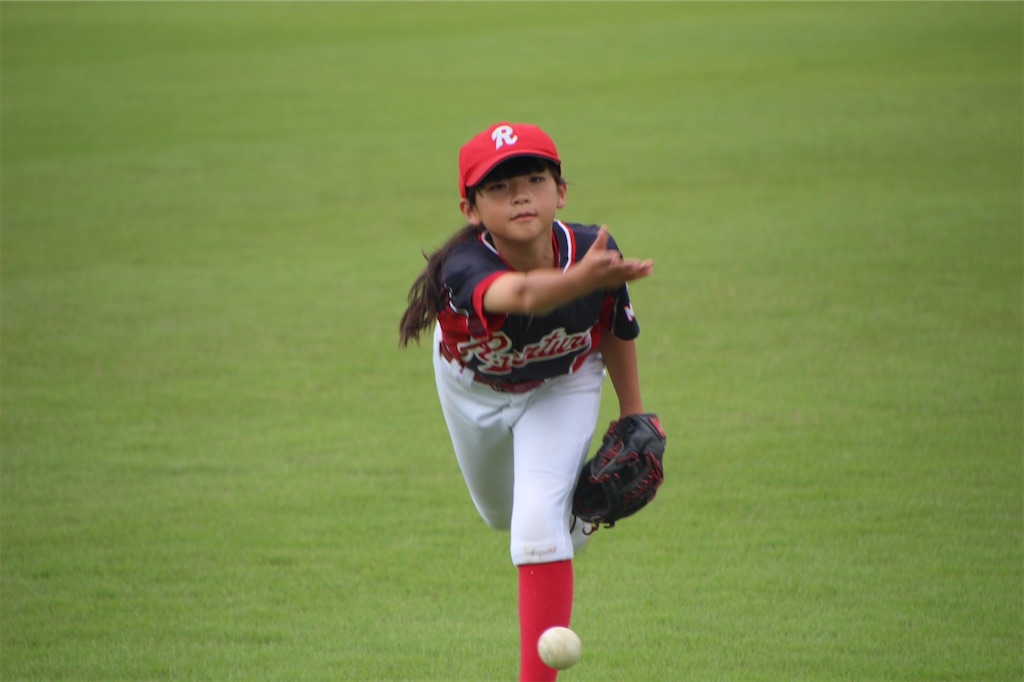 f:id:donagaojisan:20200920150523j:image f:id:donagaojisan:20200920150523j:image