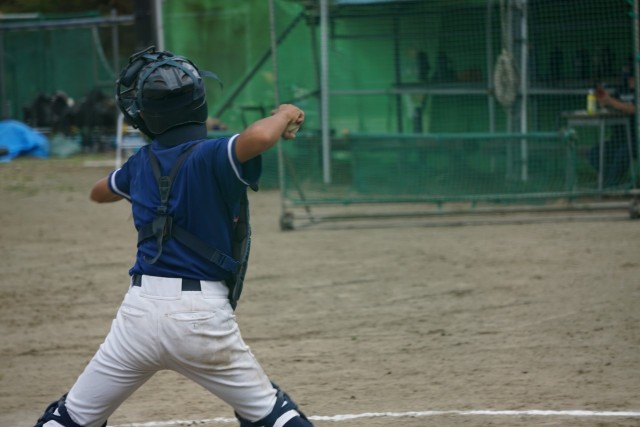f:id:donagaojisan:20200924015734j:image