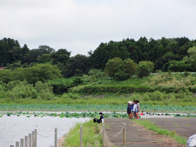 f:id:donagaojisan:20201012203942j:image