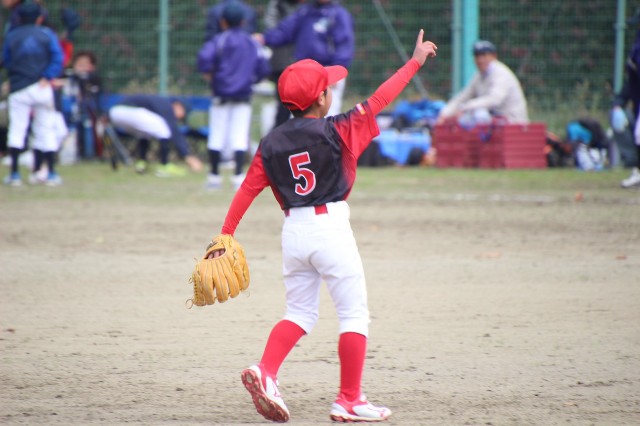 f:id:donagaojisan:20201026101016j:image