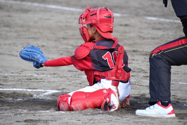 f:id:donagaojisan:20201103223939j:image