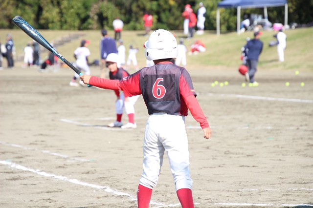 f:id:donagaojisan:20201103224043j:image