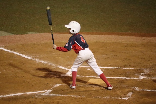 f:id:donagaojisan:20201205002019j:image