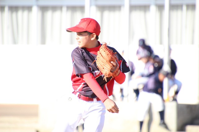 f:id:donagaojisan:20201208170501j:image