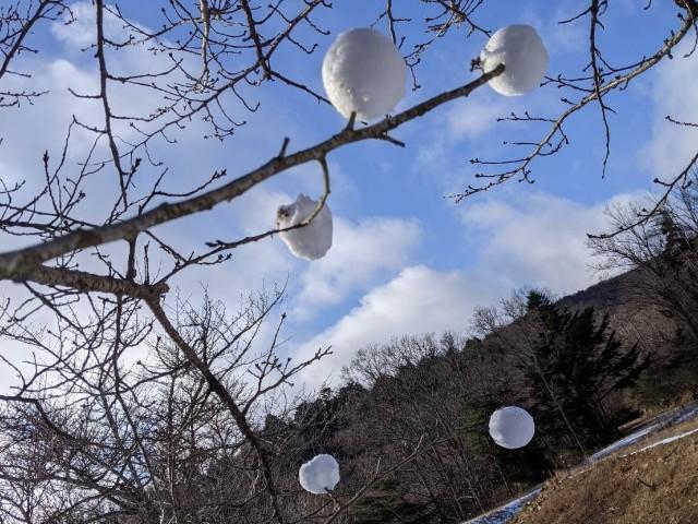 f:id:donagaojisan:20201224135547j:image