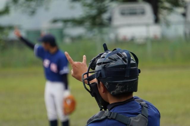 f:id:donagaojisan:20210523223101j:image