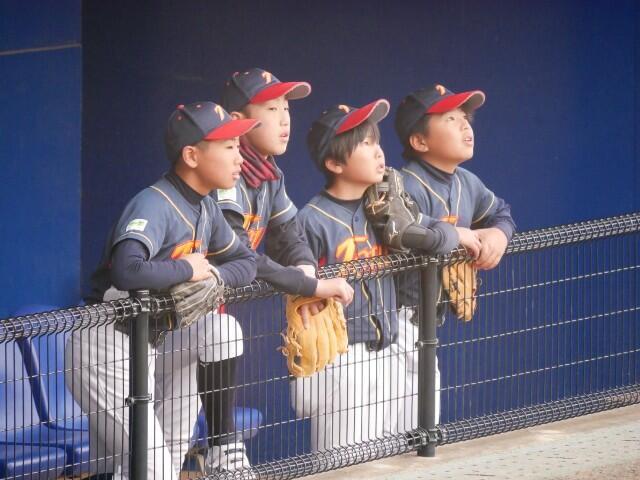 f:id:donagaojisan:20231128194344j:image