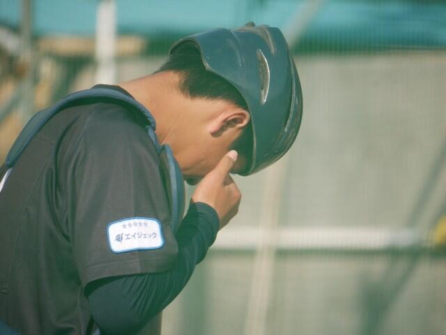 f:id:donagaojisan:20240527195355j:image