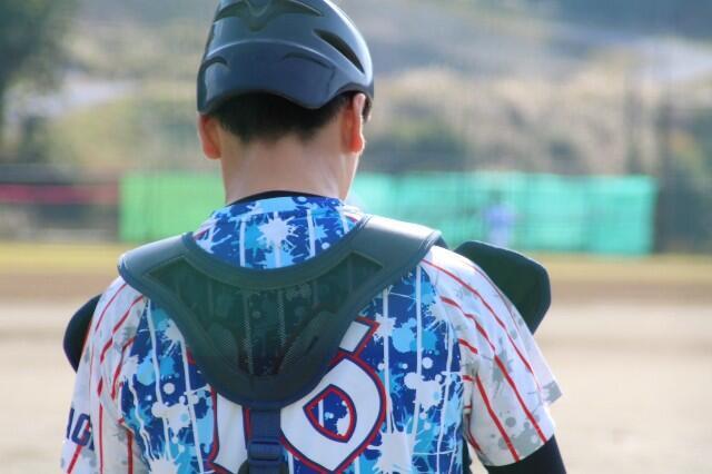 f:id:donagaojisan:20241104201029j:image