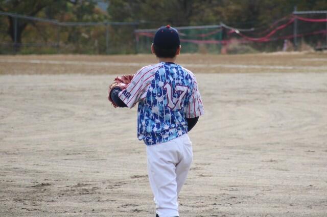 f:id:donagaojisan:20241104201053j:image