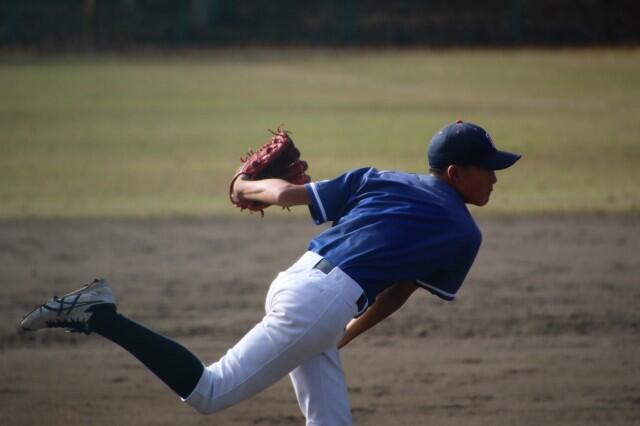 f:id:donagaojisan:20241202194226j:image