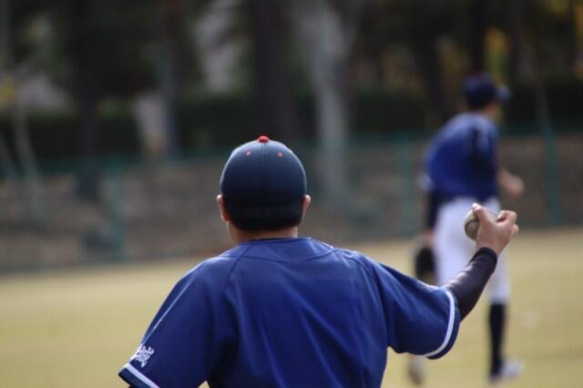 f:id:donagaojisan:20241202200235j:image