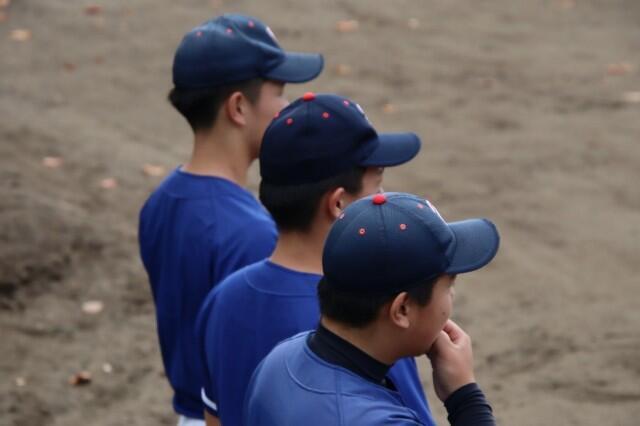 f:id:donagaojisan:20241202200304j:image