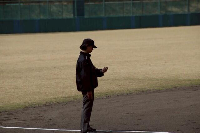 f:id:donagaojisan:20250412201122j:image