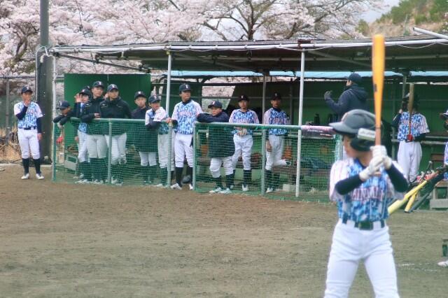 f:id:donagaojisan:20250413220926j:image