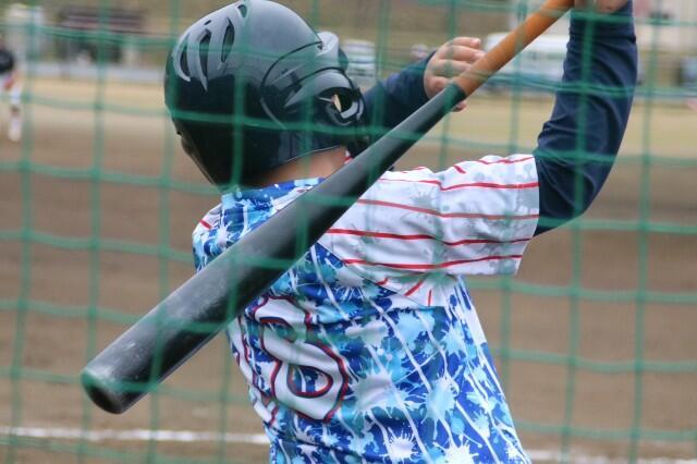 f:id:donagaojisan:20250413223849j:image