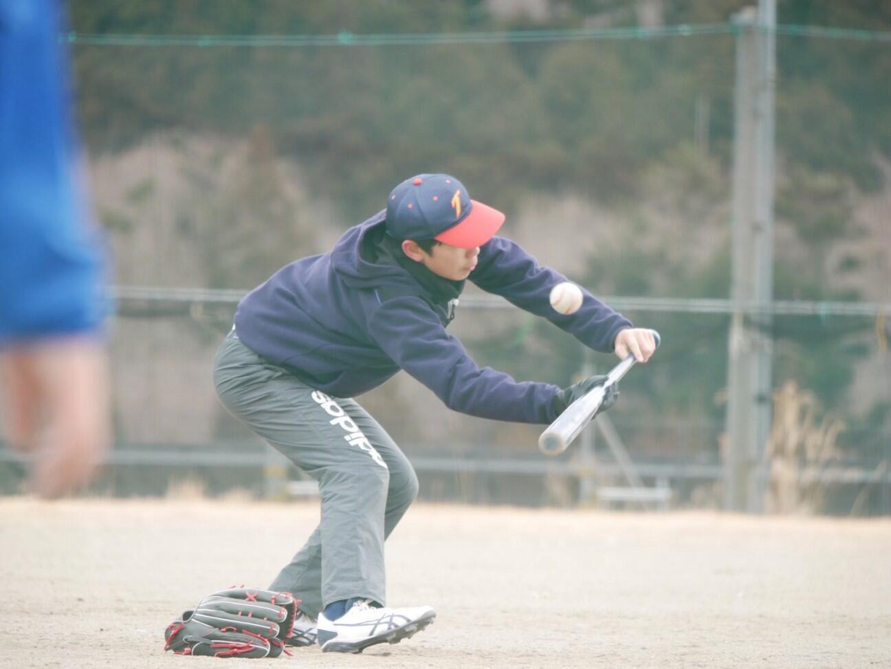 f:id:donagaojisan:20260209231754j:image