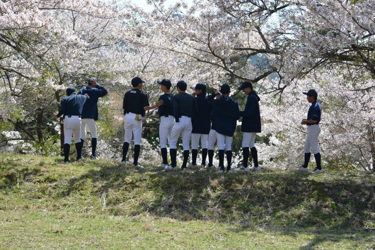 f:id:donagaojisan:20260413192353j:image f:id:donagaojisan:20260413192353j:image