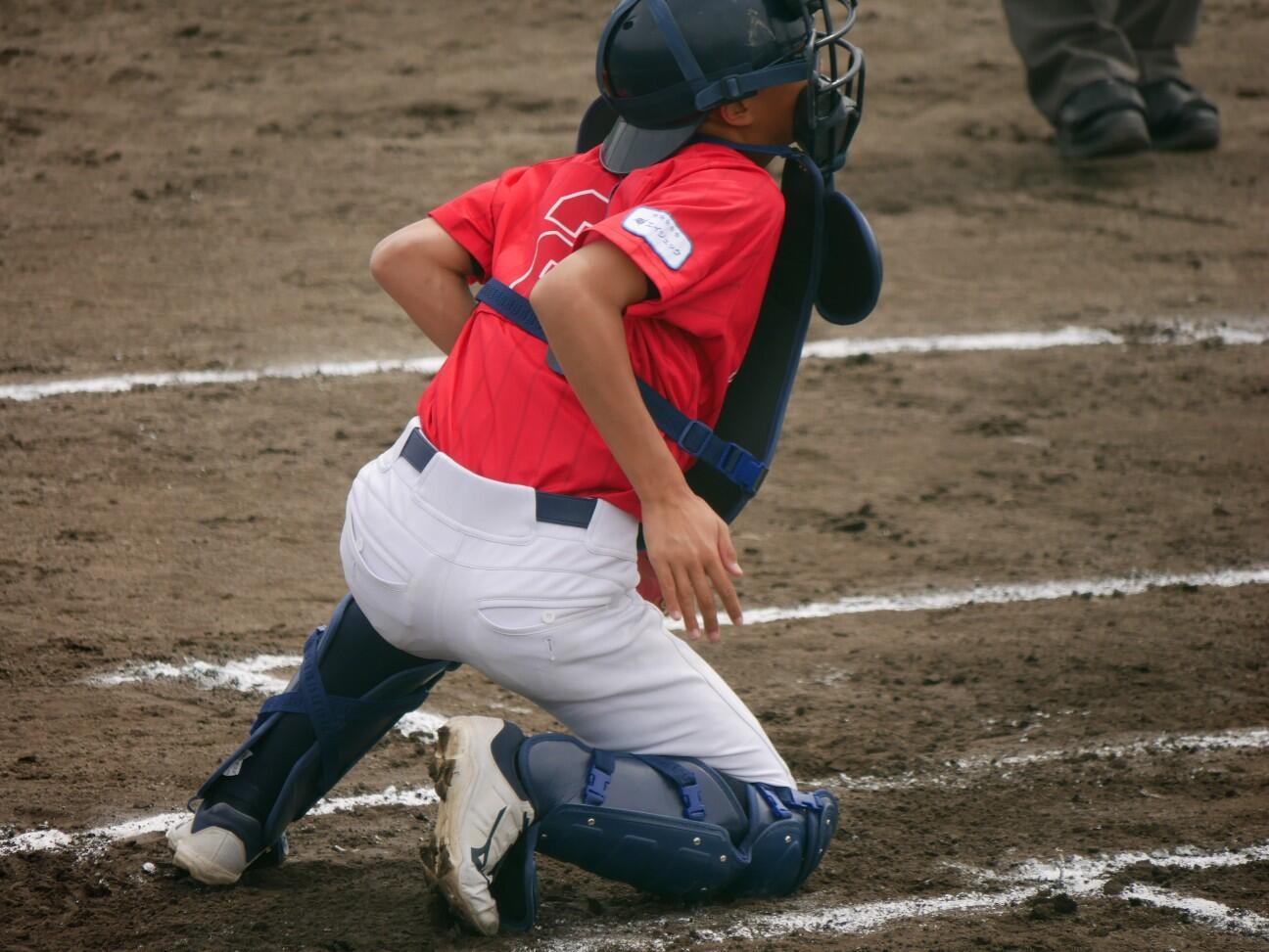 f:id:donagaojisan:20260416233834j:image