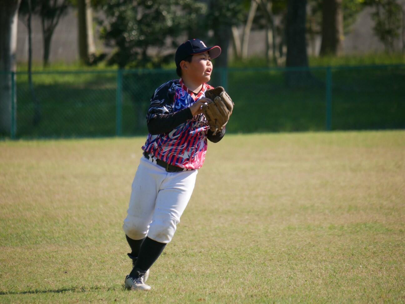 f:id:donagaojisan:20260509200031j:image