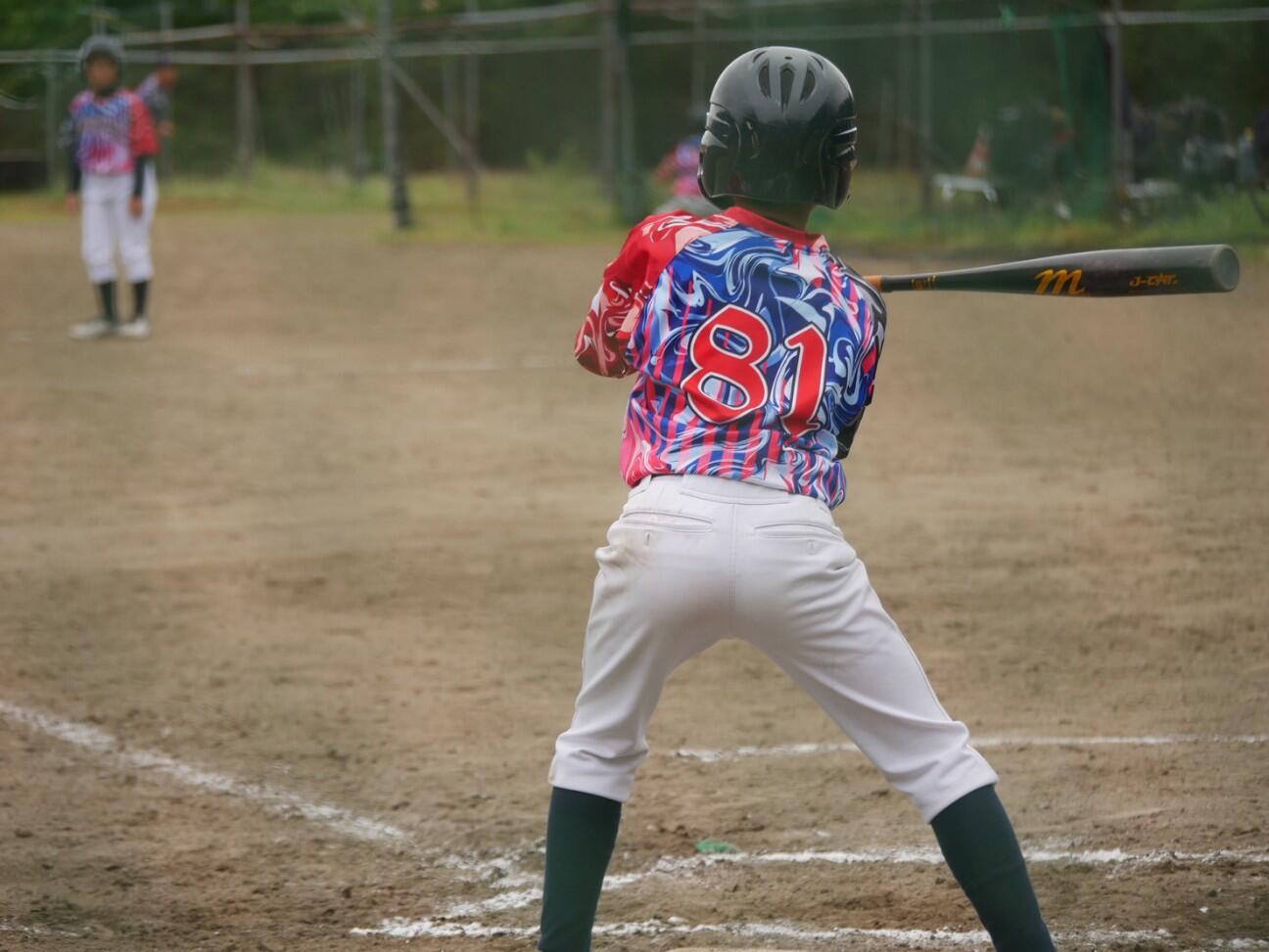 f:id:donagaojisan:20260609004129j:image f:id:donagaojisan:20260609004129j:image