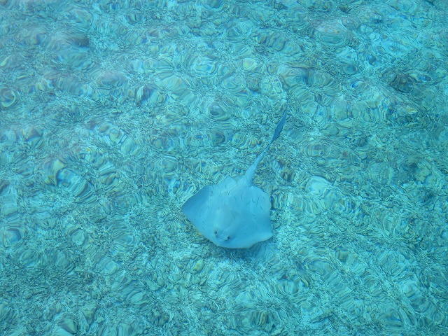 Thulhagiri Island Resort & Spa