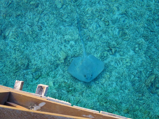 Thulhagiri Island Resort & Spa