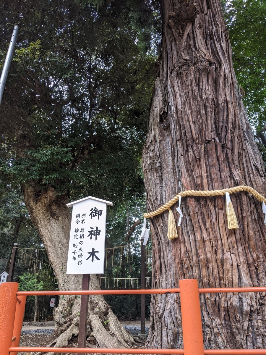 息栖神社の写真