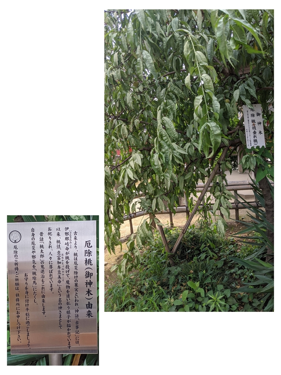 川越八幡宮の写真