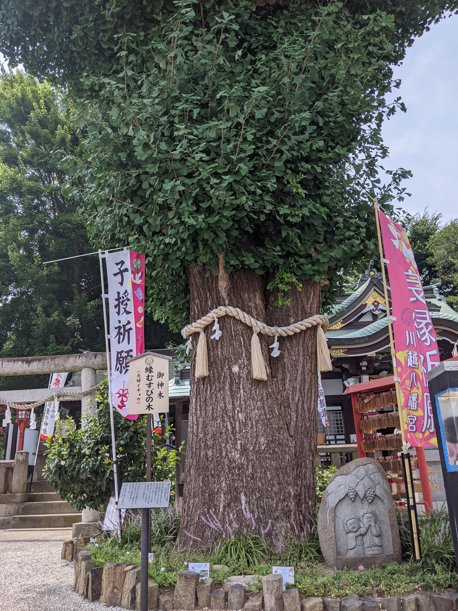 川越八幡宮の写真