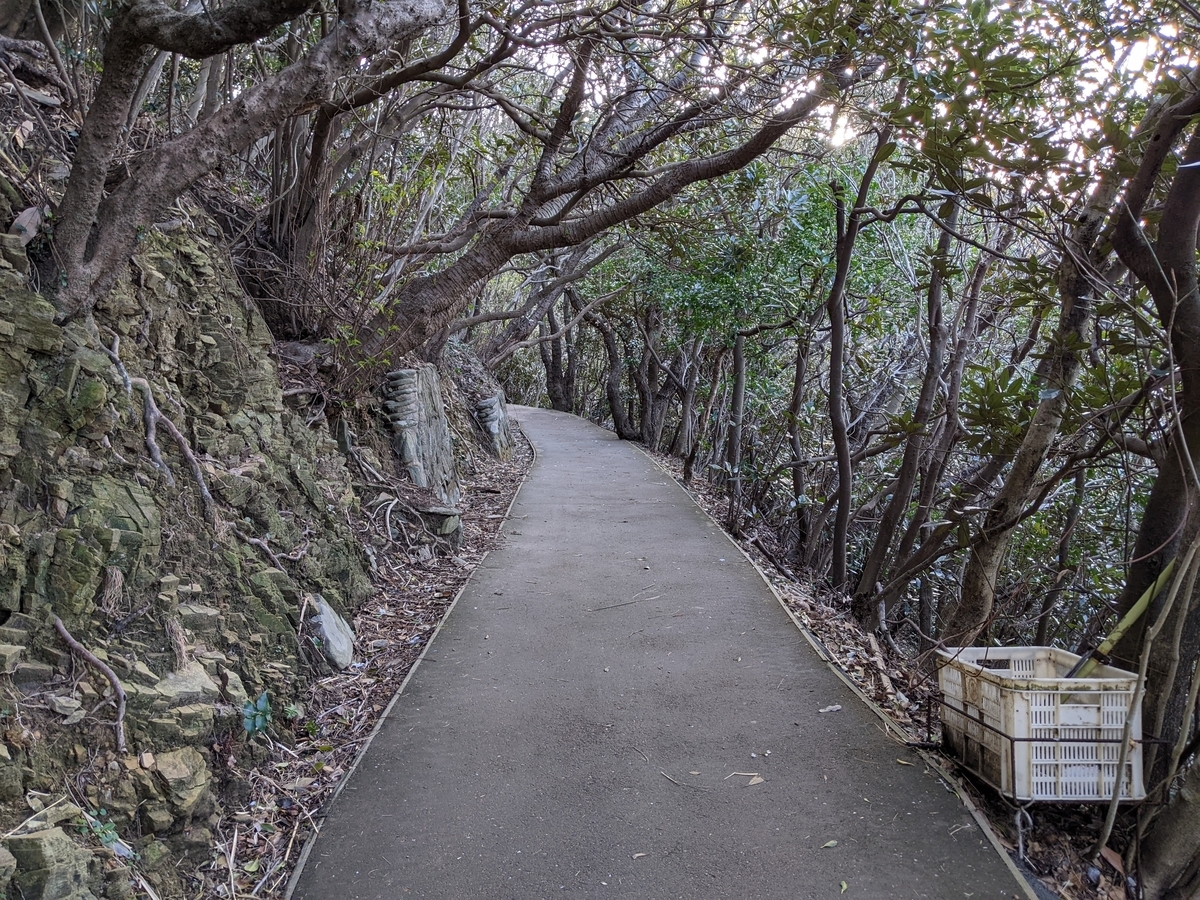 佐田岬灯台の写真
