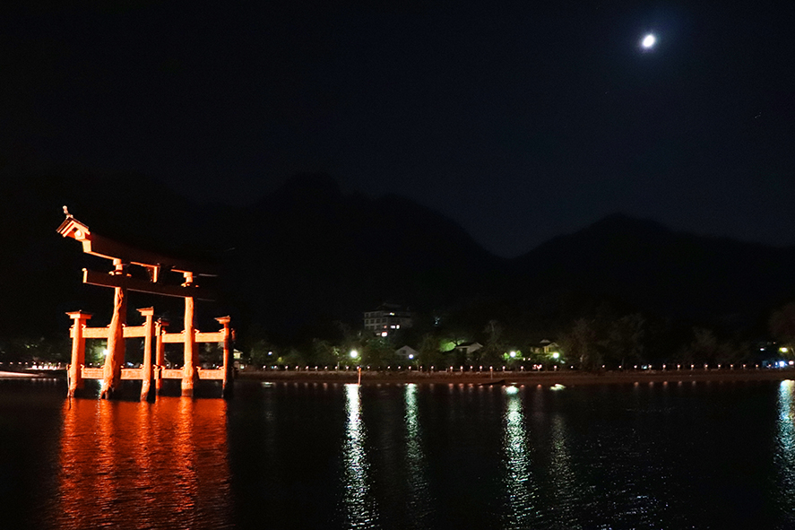 f:id:donaneight:20181221104805j:plain