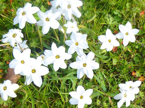 f:id:donaneight:20190323090725j:plain