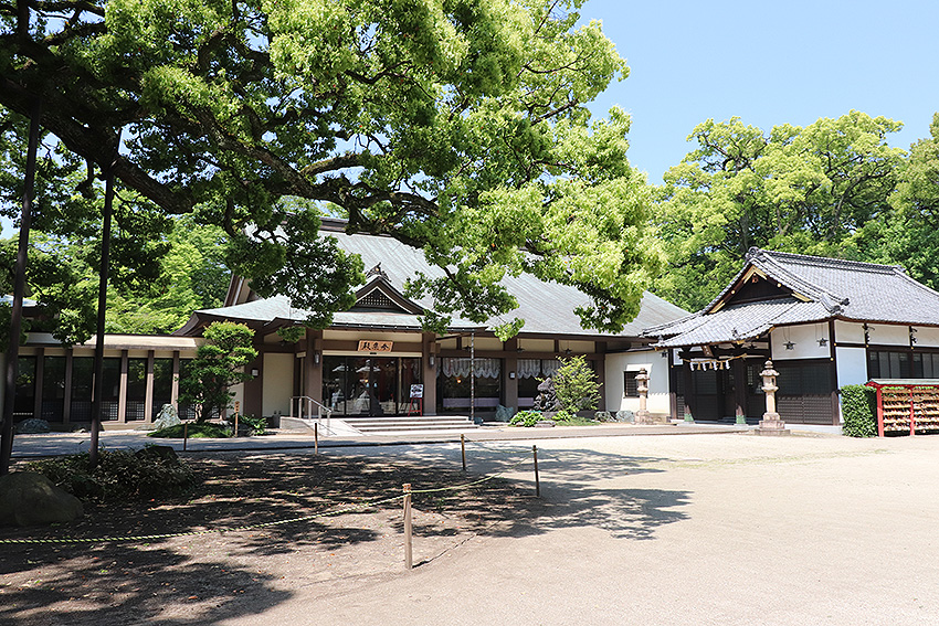 f:id:donaneight:20190504085602j:plain