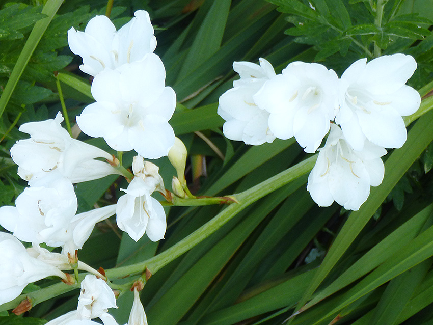 f:id:donaneight:20190511100222j:plain
