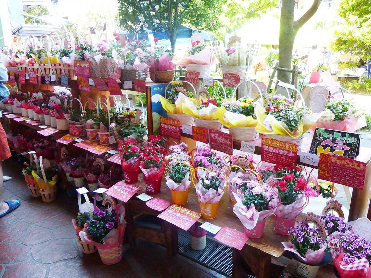 f:id:donaneight:20190512092407j:plain f:id:donaneight:20190512092407j:plain